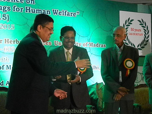 Plants: image 4 0f 4 thumb